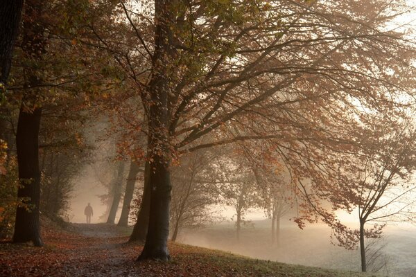 Der Morgennebel im Herbstpark und die sichtbare Silhouette eines einsamen Mannes, der den Weg entlang geht