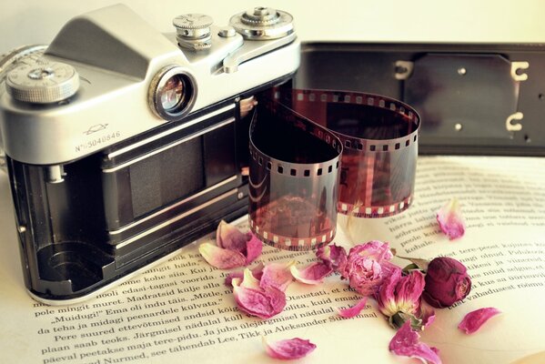 Camera near the dried rose petals