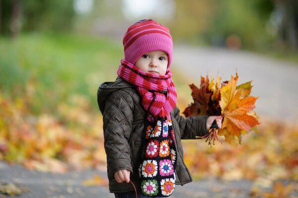 A child with a bouquet of autumn leaves