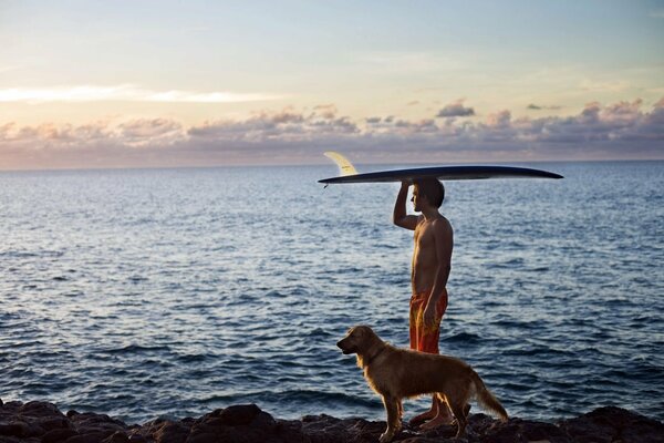 Un homme et un chien rencontrent l aube au bord de la mer