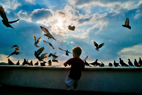 Bébé nourrit les pigeons le soir dans le parc