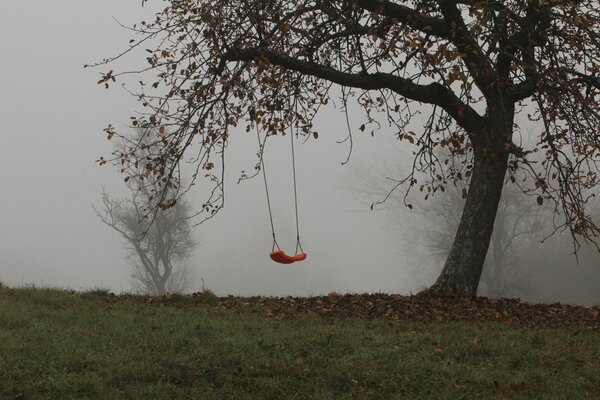 Lonely swing in the forest in tutman