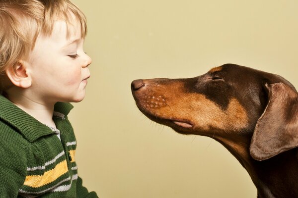 Die Freundschaft eines Jungen mit einem Hund. Gute Laune