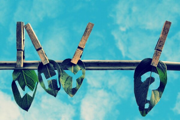 Leaves with words on a rope are drying