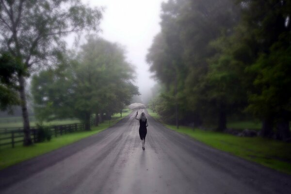 A girl with an umbrella is walking along the road