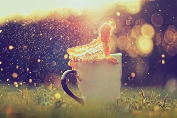 Tasse de boisson préférée dans l herbe