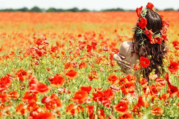 Das Bild eines schönen Mädchens im Feld mit Mohnblumen