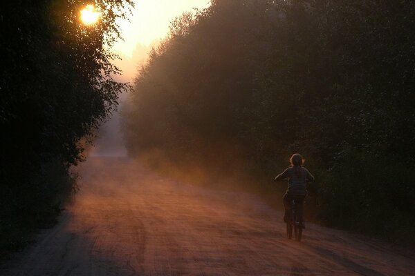 A girl on a bicycle in the morning forest