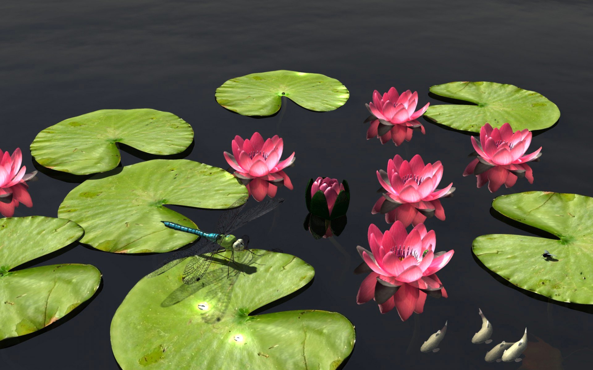 nature pond flower leaves fish dragonfly