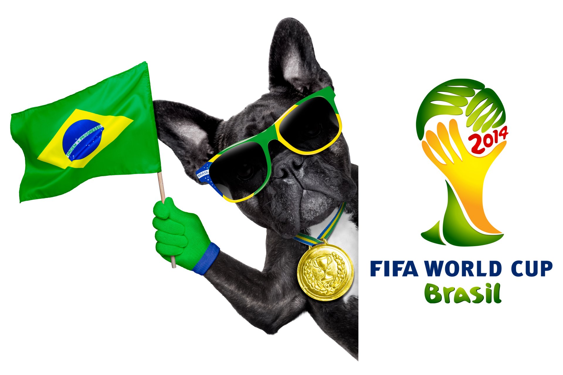 brazylia fifa puchar świata 2014 piłka nożna flaga logo pies fajne