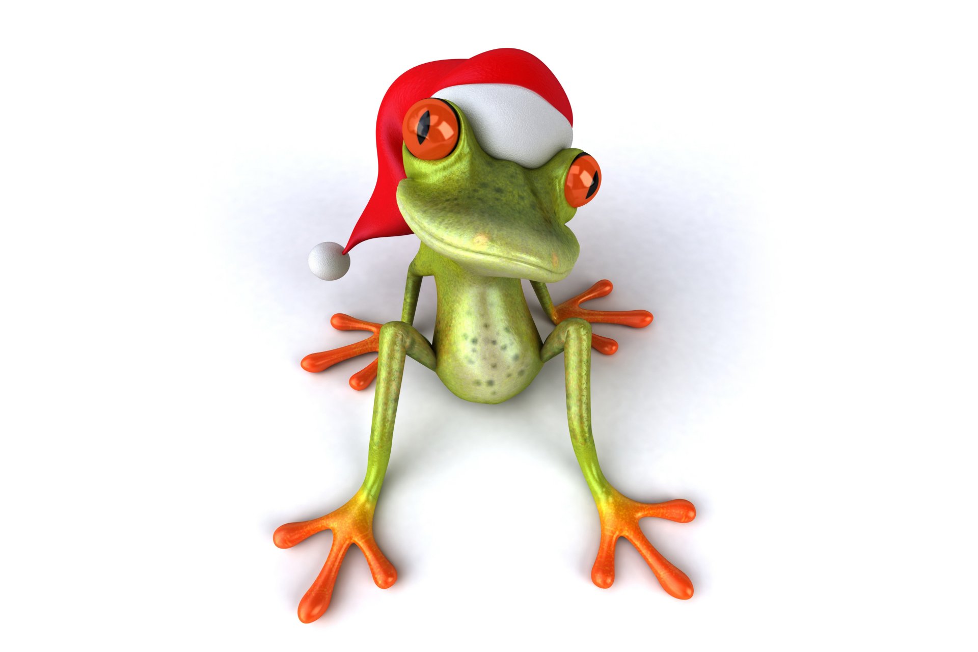 3d frog christmas santa hat santa