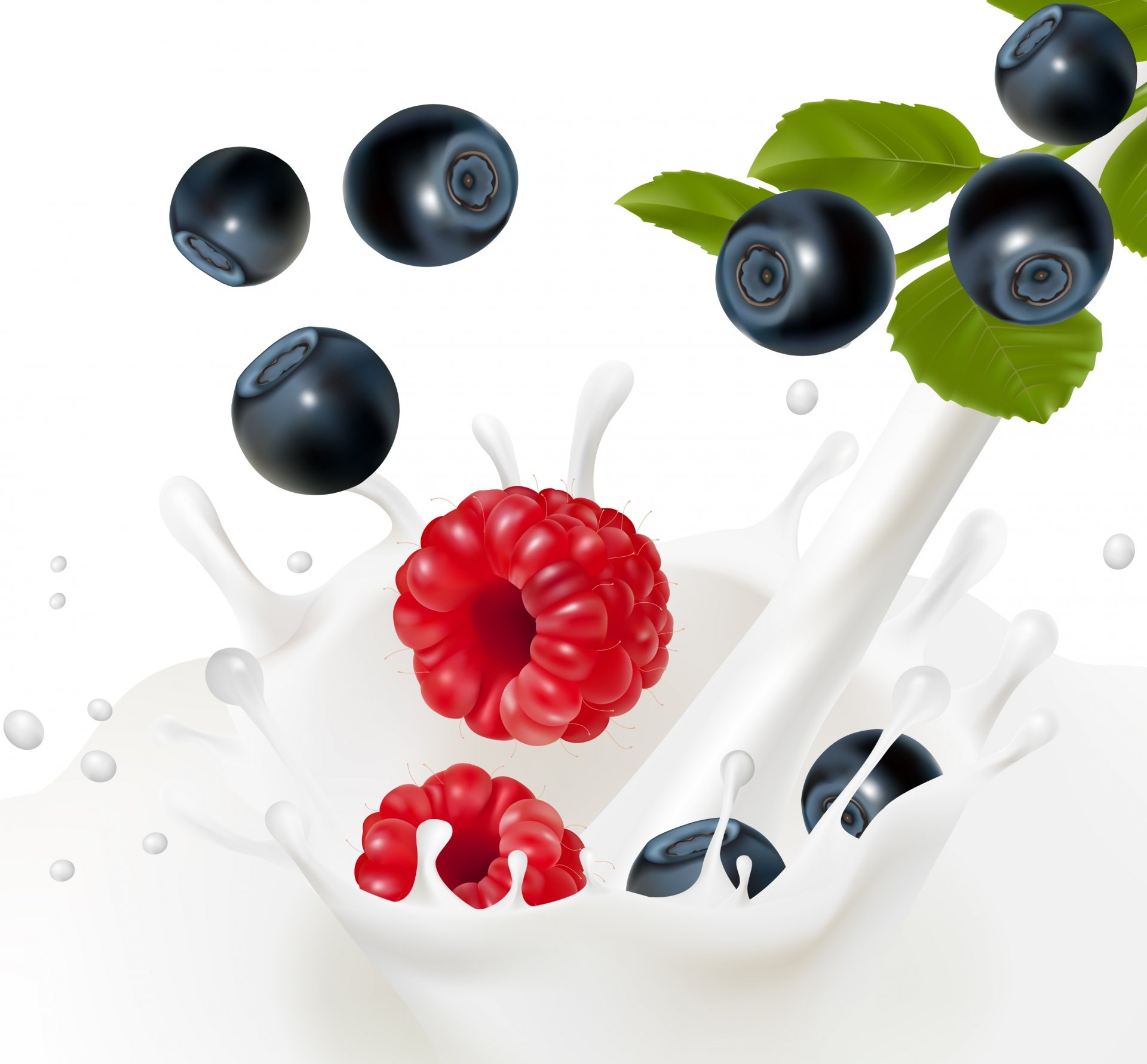 milch spritzer beeren himbeeren blaubeeren blätter