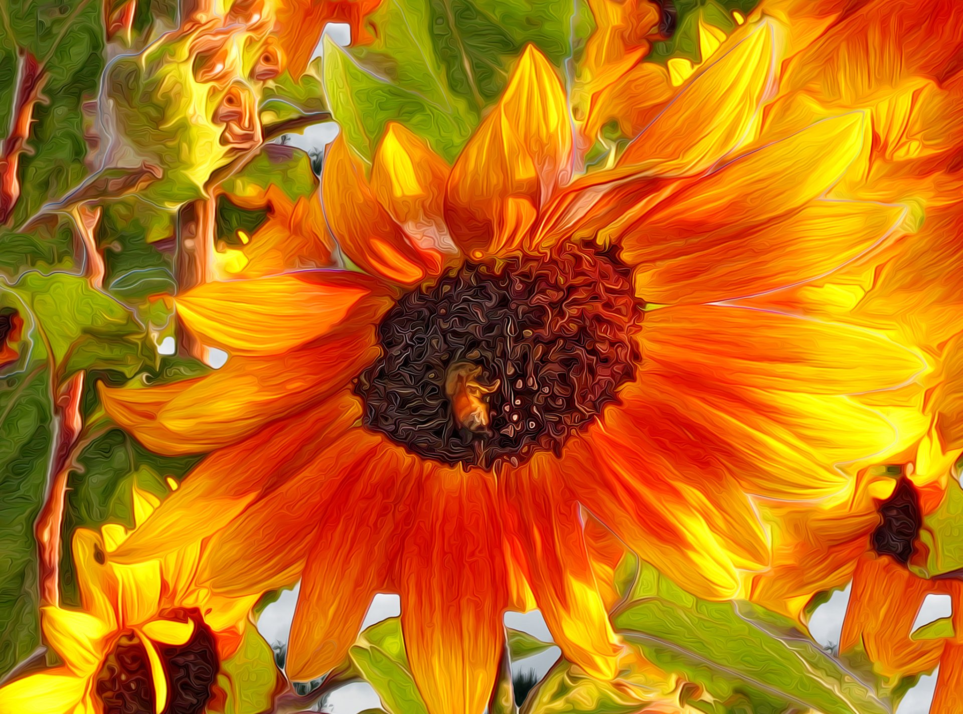 natura fiore petali insetto ape