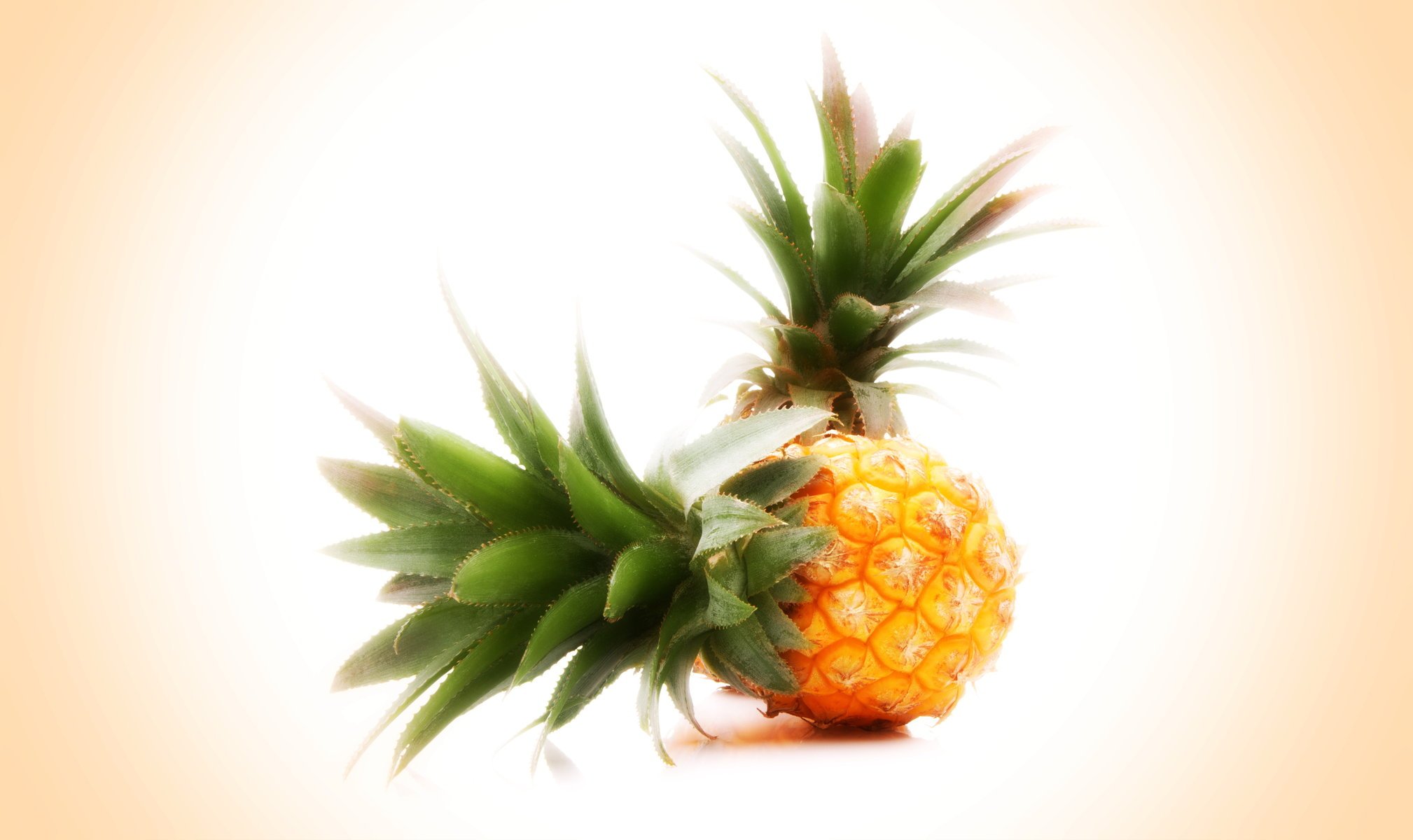 fond fruit ananas