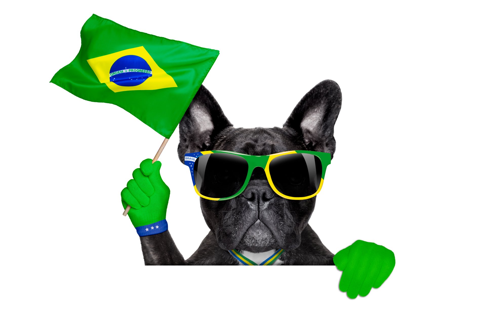 le brésil la fifa la coupe du monde 2014 football drapeau logo chien cool lunettes de soleil