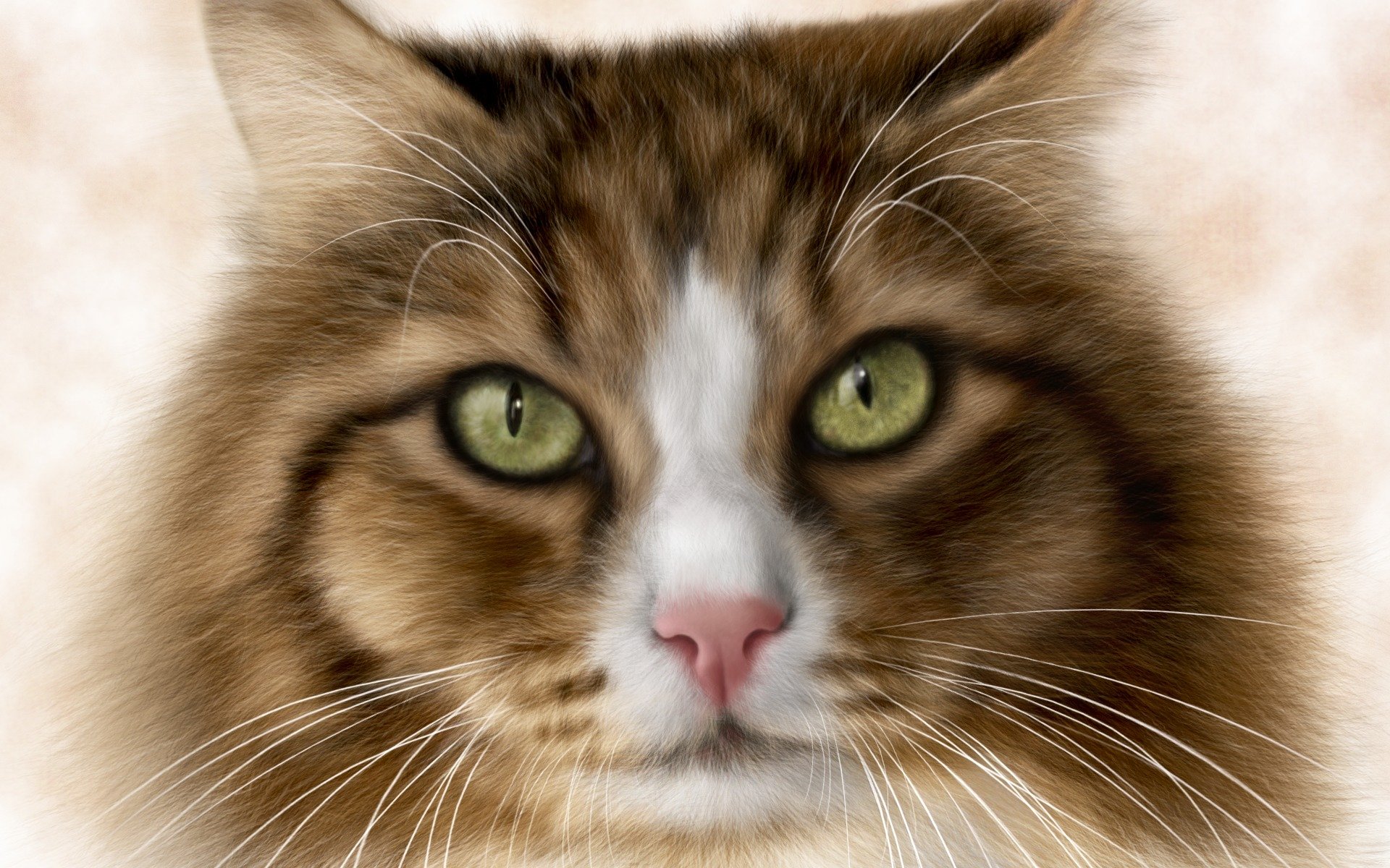 cat cat cat eyes rendering background