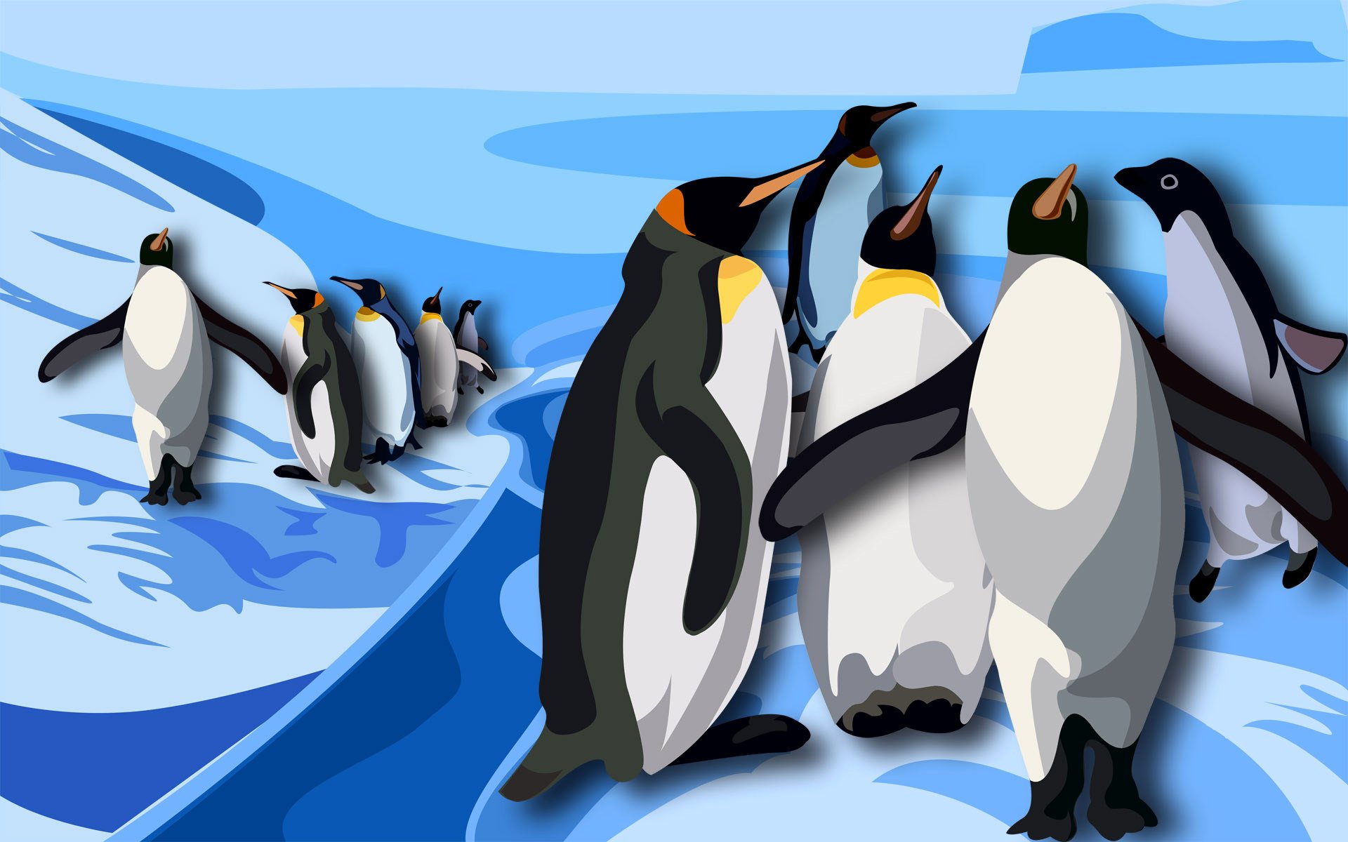 outh antarctica penguins picture bird