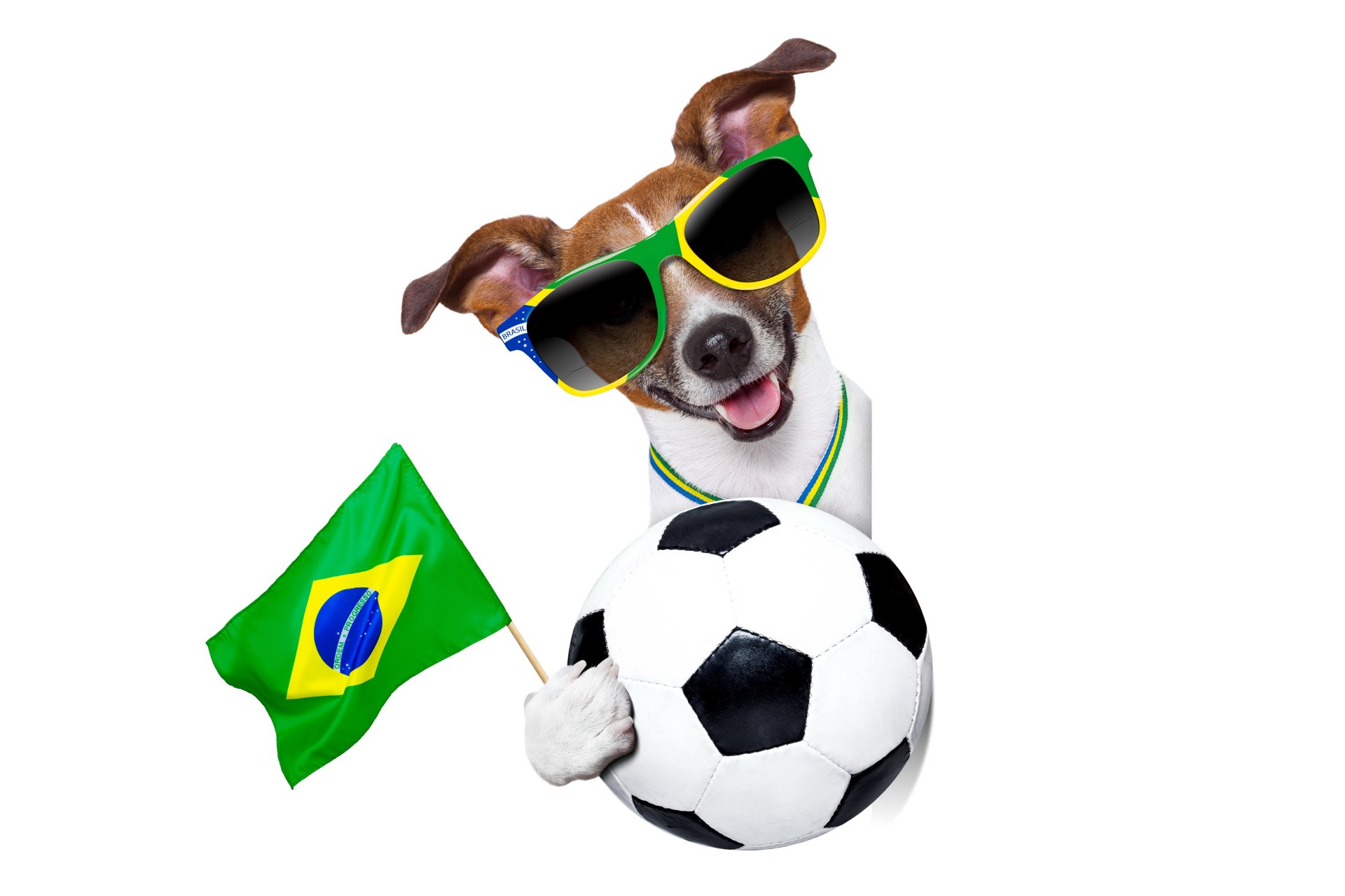 le brésil la fifa la coupe du monde 2014 football drapeau logo chien cool lunettes de soleil