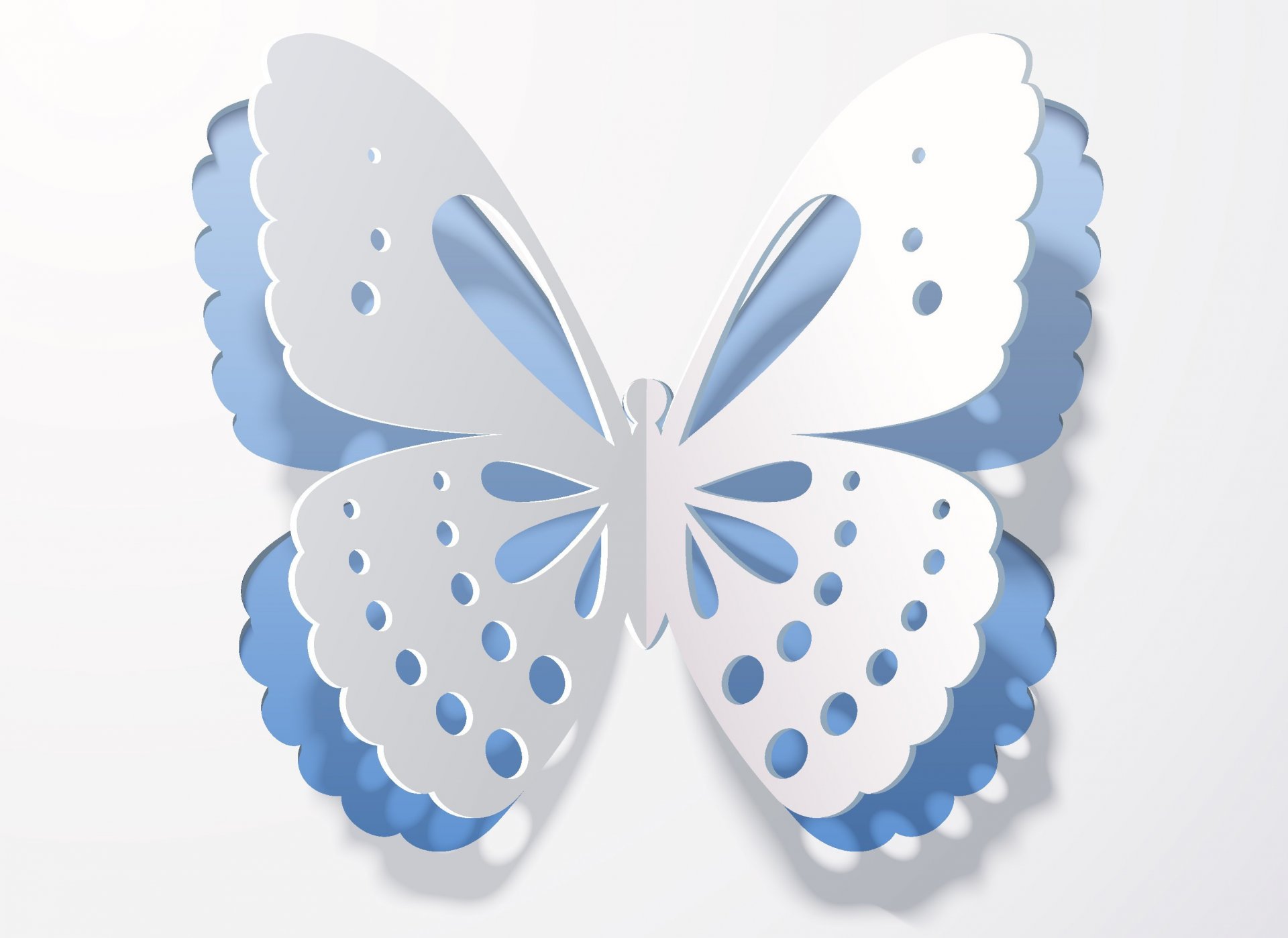 rendering 3d butterfly wings shadow background