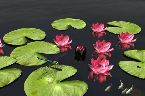 Superficie dell acqua con foglie, fiori e libellula