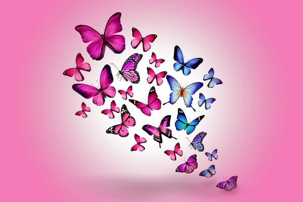 Las mariposas azules Rosadas sobre el fondo rosado son muy hermosas