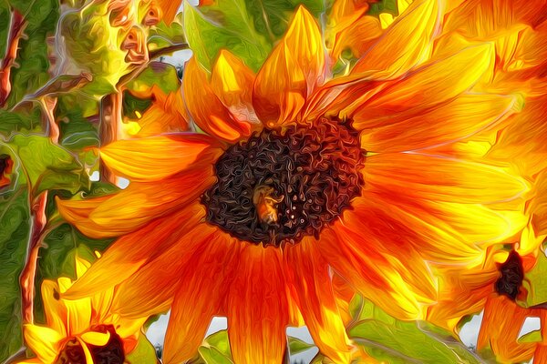 Abeja en una gran flor naranja