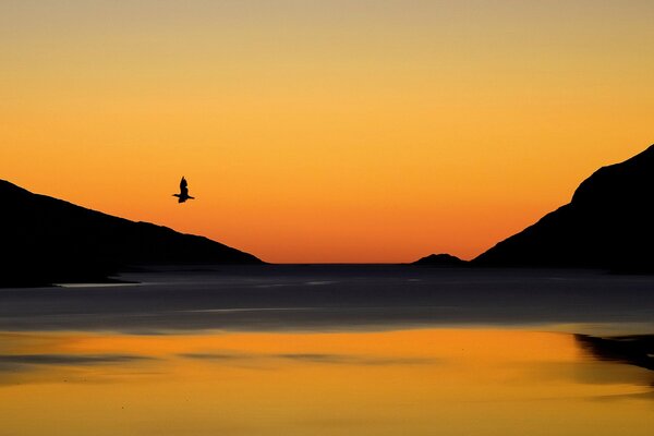 Vuelo de aves en medio de montañas y lagos