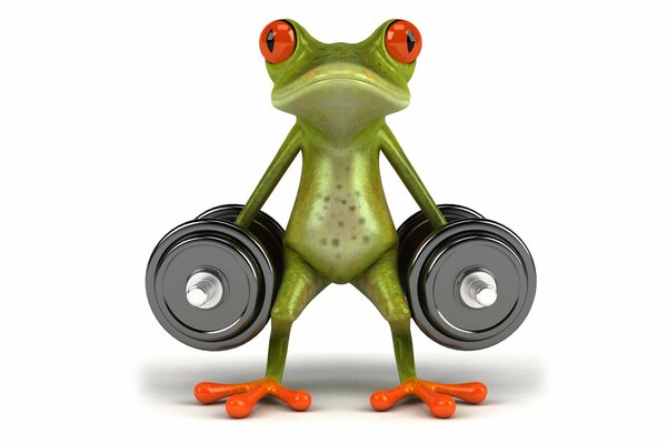 Frog does sports with dumbbells