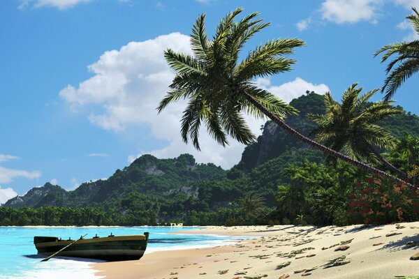 Exotique rivage avec des palmiers et un bateau