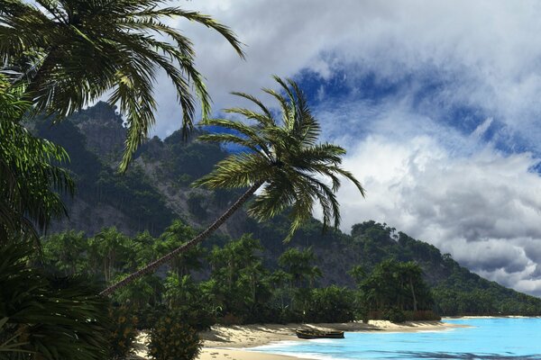 Le paysage tropical de palmiers mer de nuages