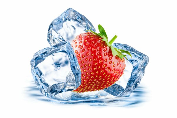 Strawberry berry with ice cubes