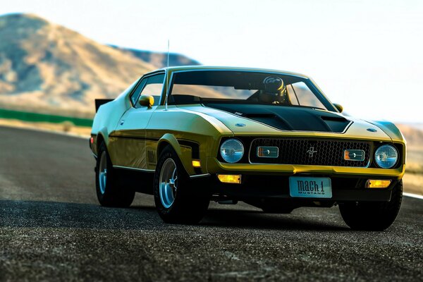 Mustang on a serpentine in the mountains