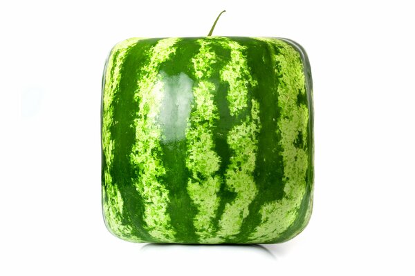 Quadratische Wassermelone auf weißem Hintergrund