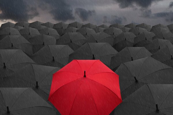 Parapluie rouge chez les noirs