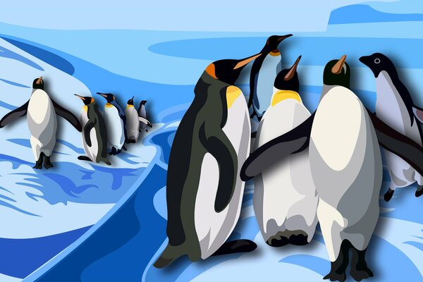 Et dans l Antarctique, se trouvent les pingouins