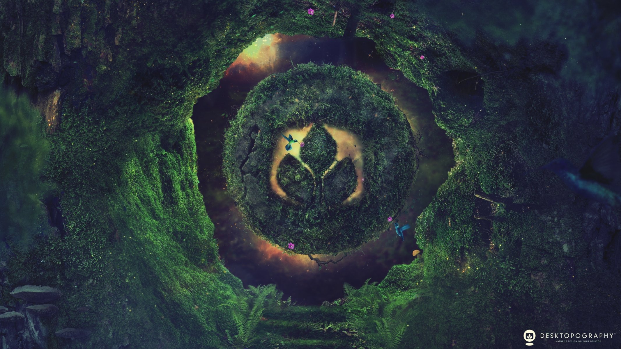 desktopography logo render koliber natura