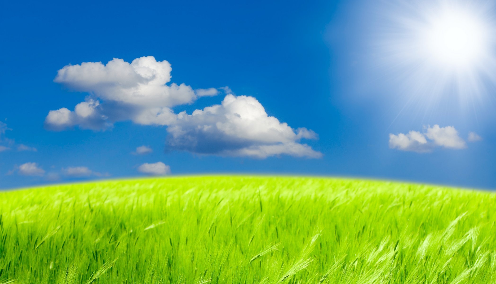 natura paesaggio cielo campo verde erba nuvole sole