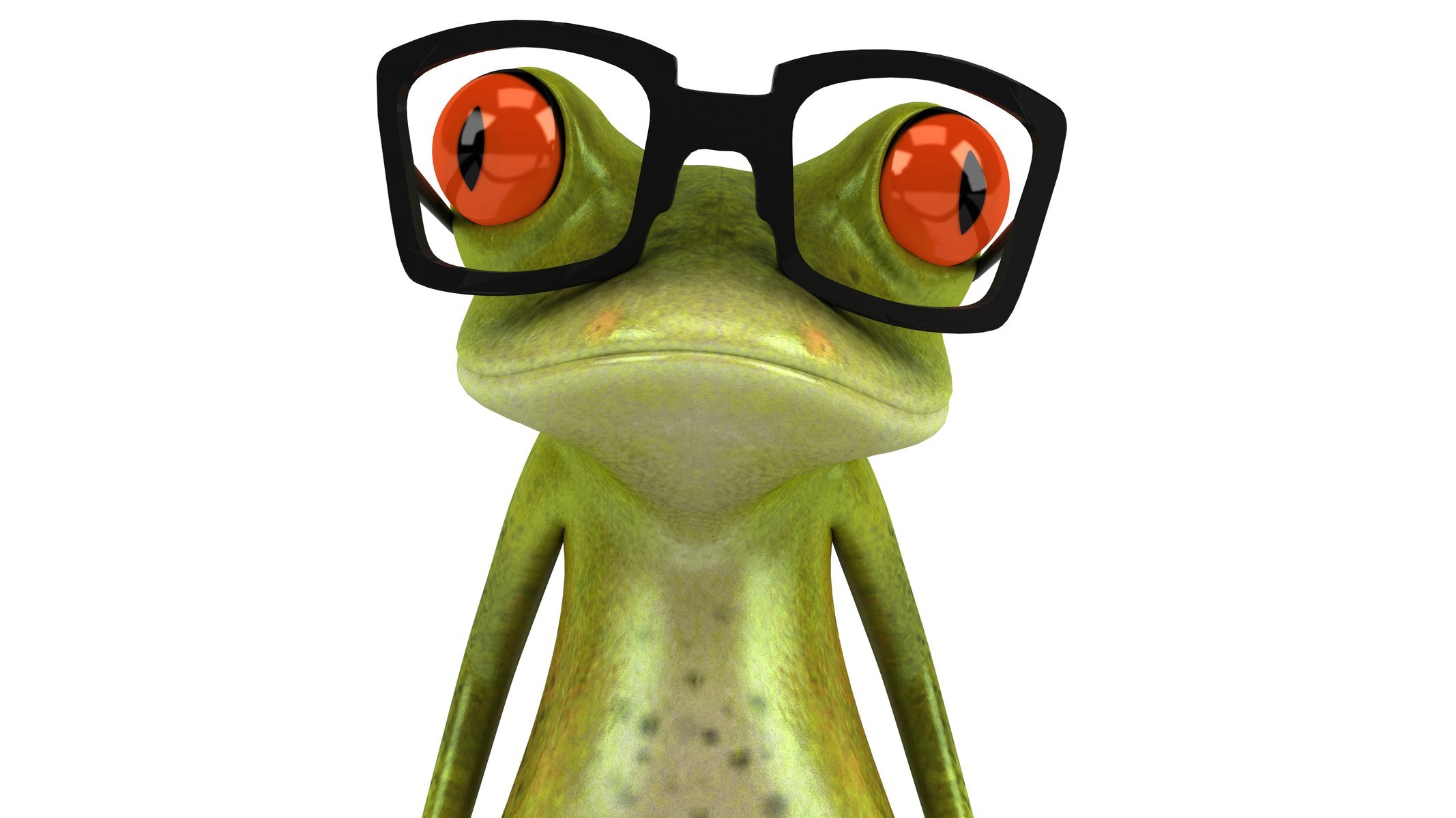 free frog 3d frog graphics sunglasse