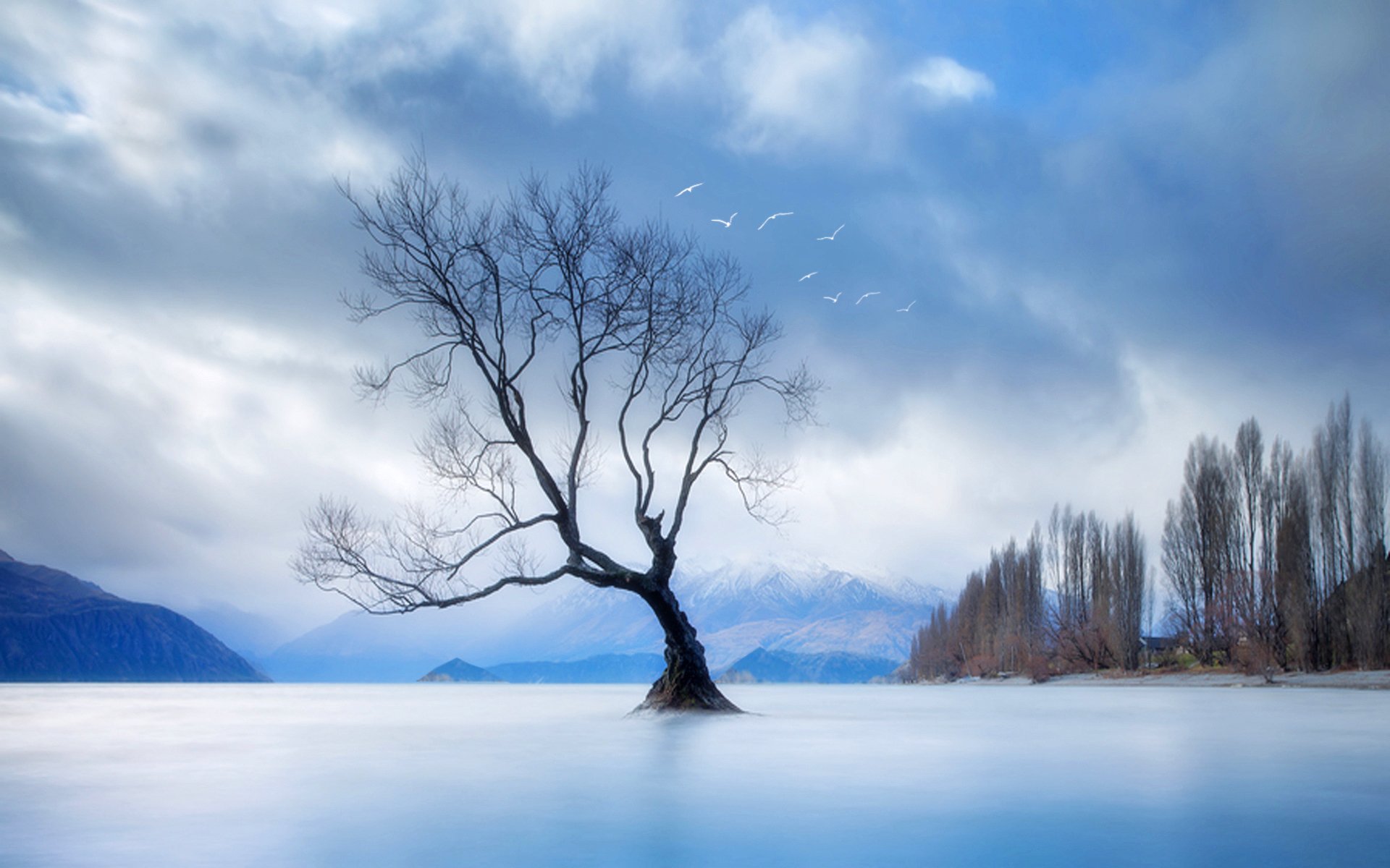 le paysage la nature les bois les montagnes les oiseaux le ciel les nuages