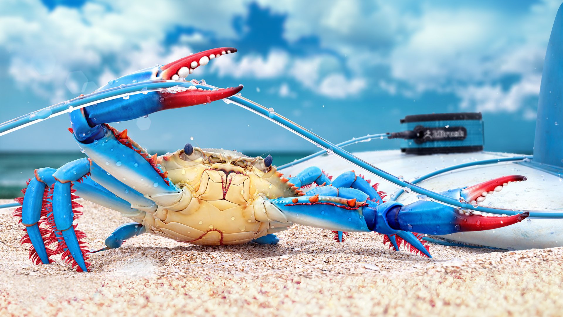 crab blue crab rendering render digital art