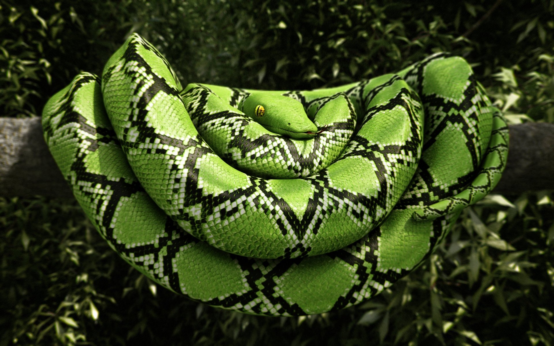 rendering serpente rettile verde albero foglie