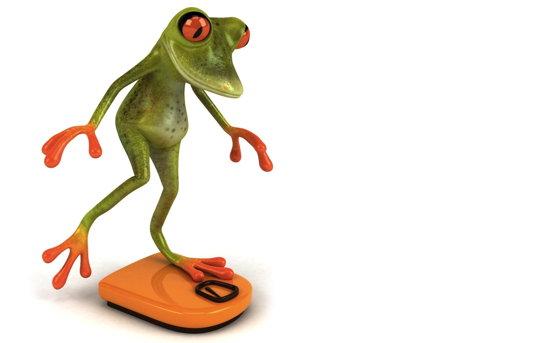 free frog 3d frog graphics scale metering