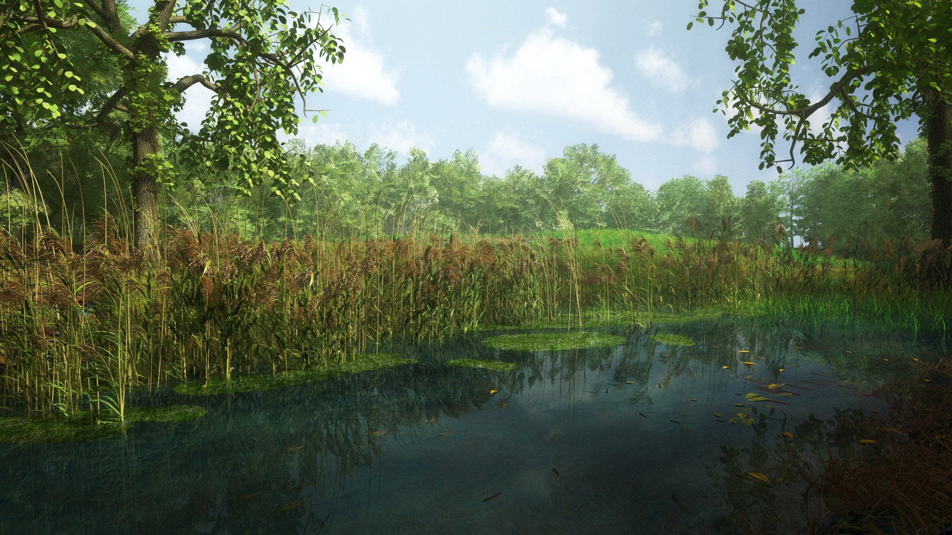 la forêt la rivière les arbres le ciel les feuilles les nuages