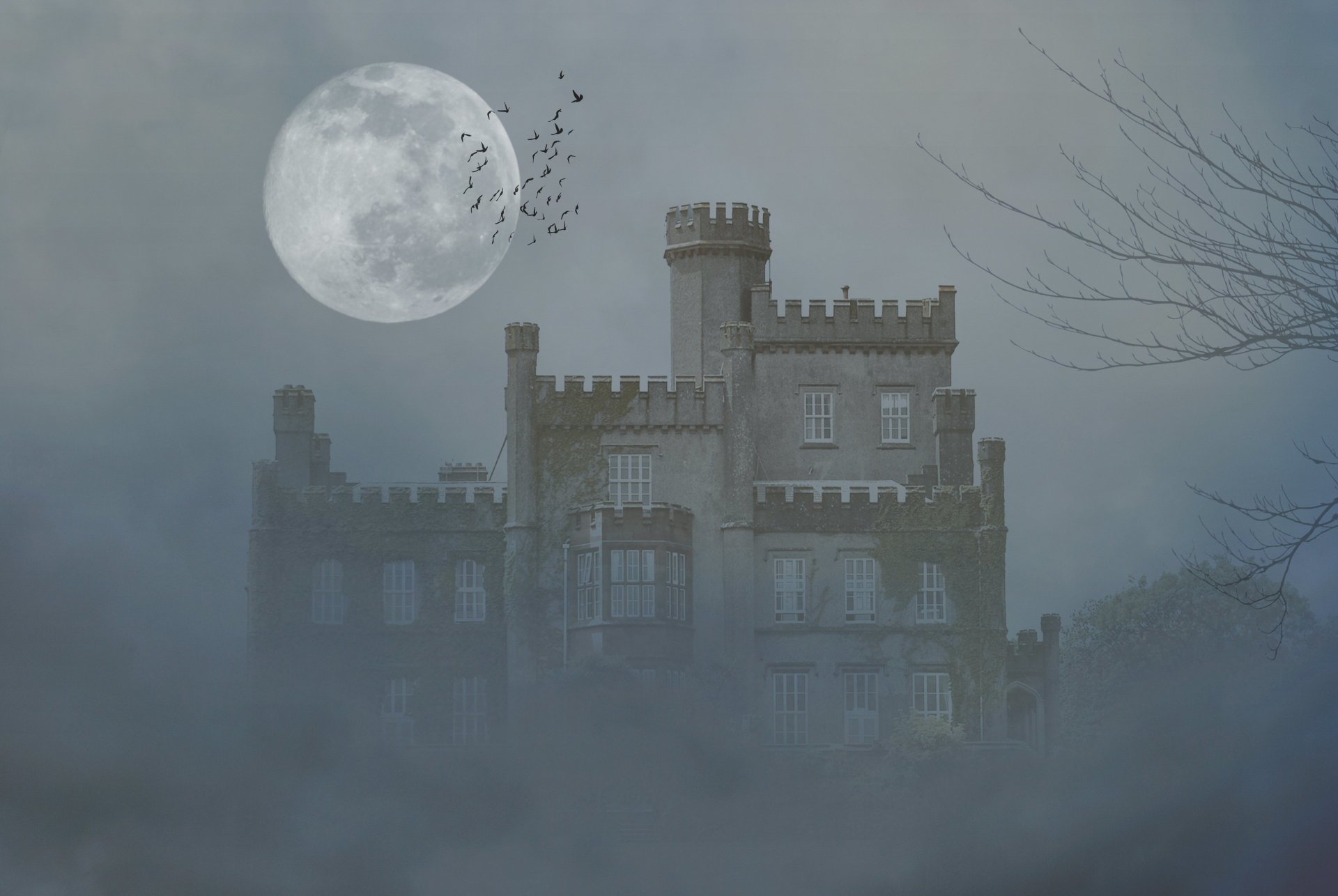 castello alberi luna uccelli nebbia oscurità