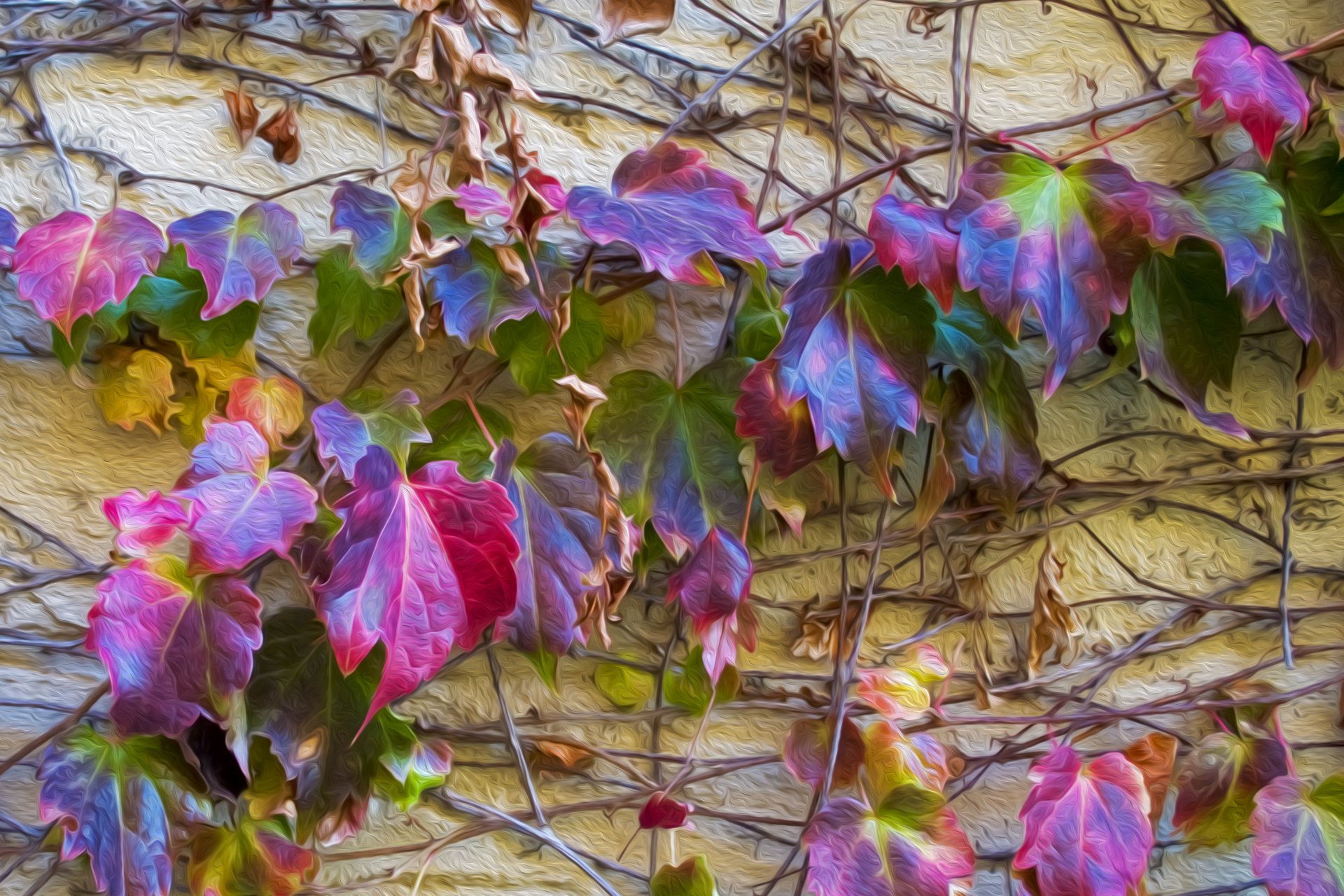 hojas hiedra pared color otoño tallo