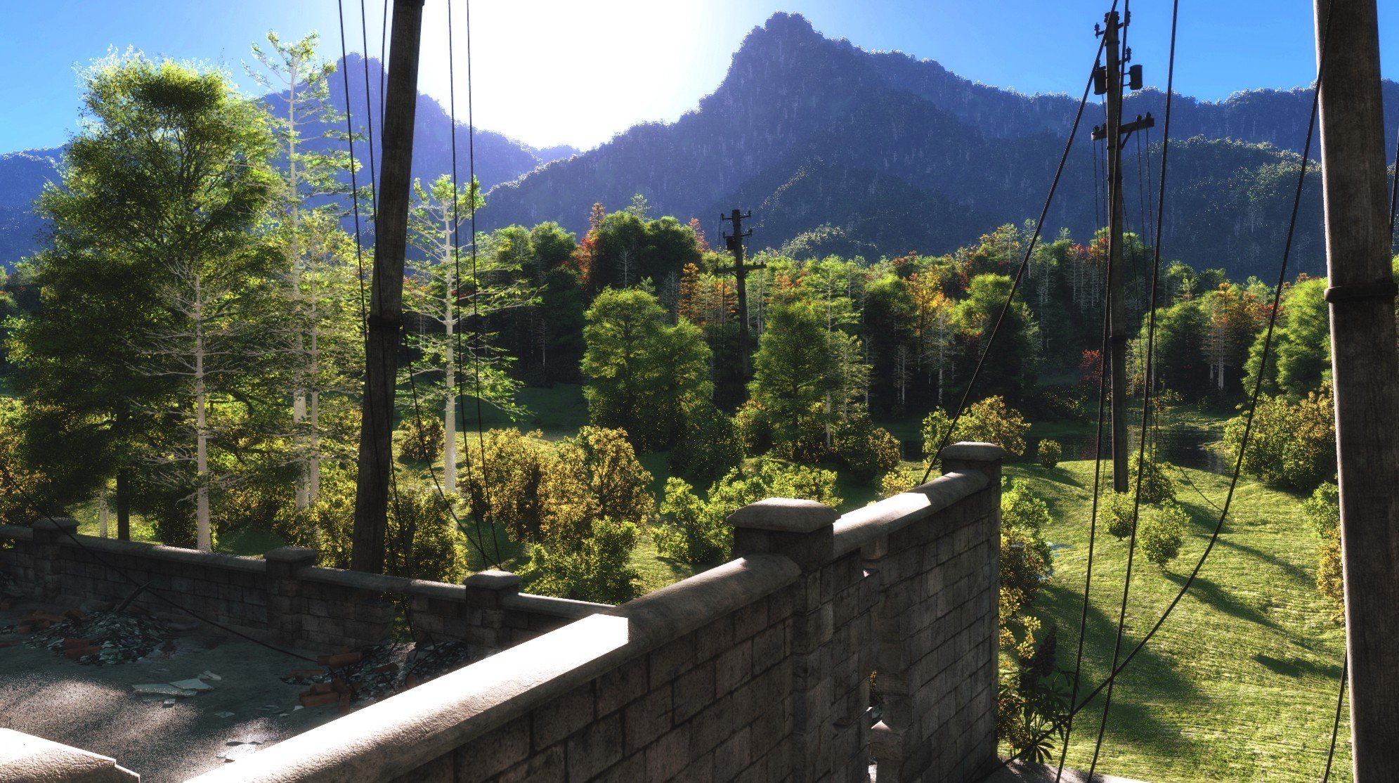 arte paesaggio linee elettriche fili tetto alberi foresta montagne colline