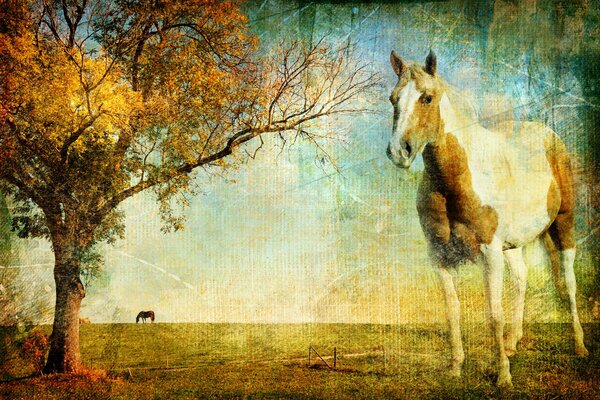 Collage avec cheval et arbre en automne