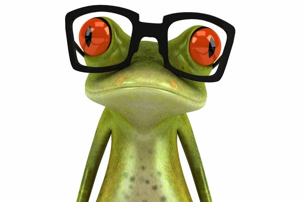 Frog with orange eyes and glasses