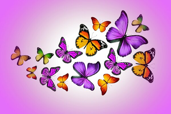 Colorful butterflies, marika design, butterflies on an orange background