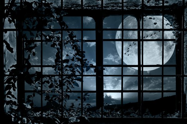 Imprisonment in a moonlit dark night